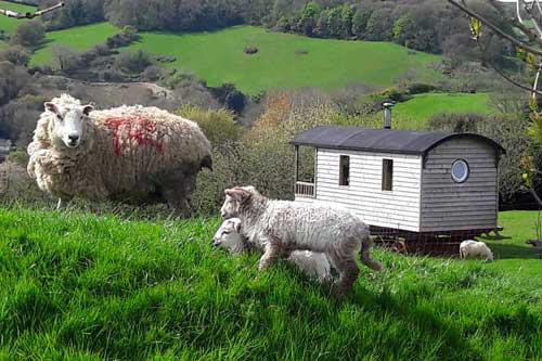 The Shepherds Retreat, near Combe Martin, North Devon